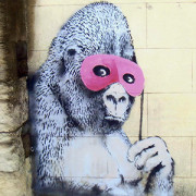 gorilla_feature